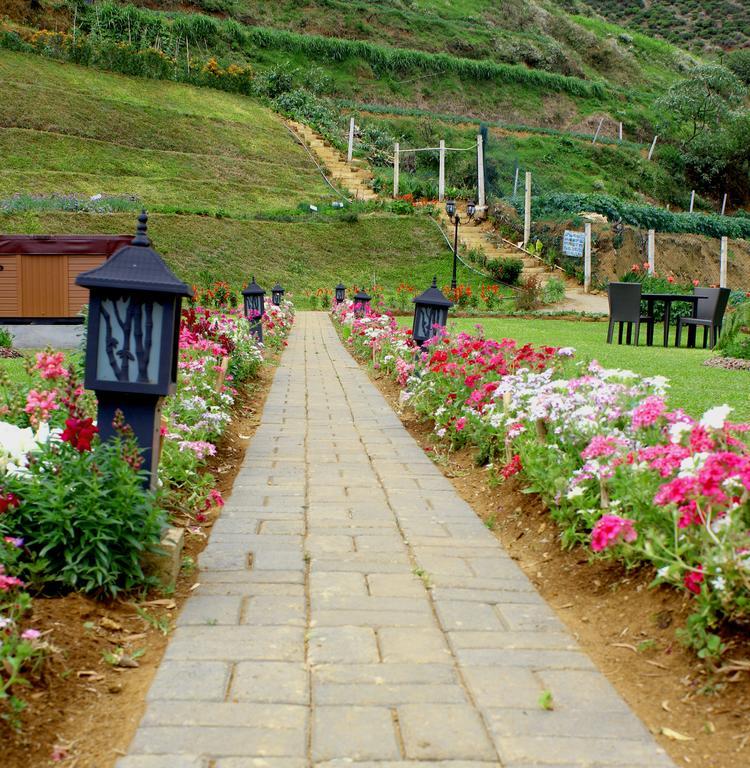 Serene Villa นูวาราเอลิยา ภายนอก รูปภาพ